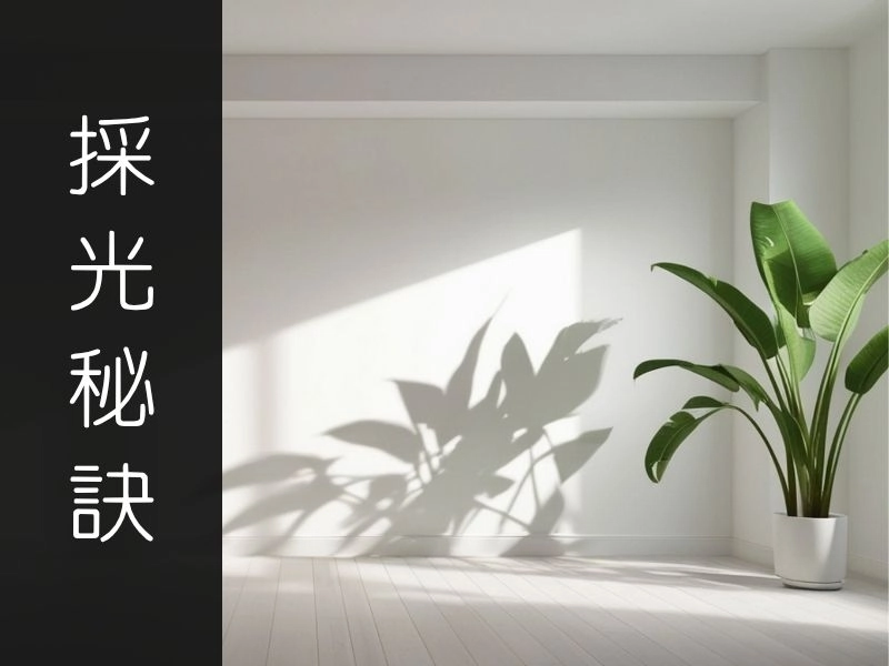 採光差怎麼救？5 種「引光入室」秘訣，打造通透感十足的療癒寓所｜矩設計裝修攻略